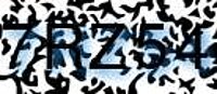 grafischer Sicherheitscode