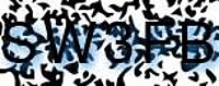 grafischer Sicherheitscode