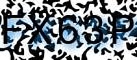 grafischer Sicherheitscode