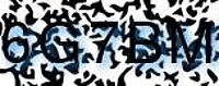 grafischer Sicherheitscode