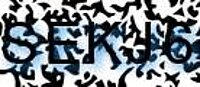 grafischer Sicherheitscode