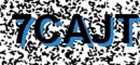 grafischer Sicherheitscode