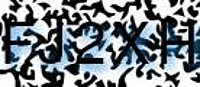 grafischer Sicherheitscode