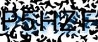 grafischer Sicherheitscode