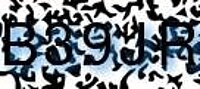 grafischer Sicherheitscode