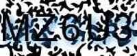 grafischer Sicherheitscode