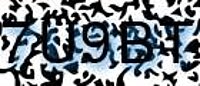 grafischer Sicherheitscode