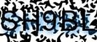 grafischer Sicherheitscode